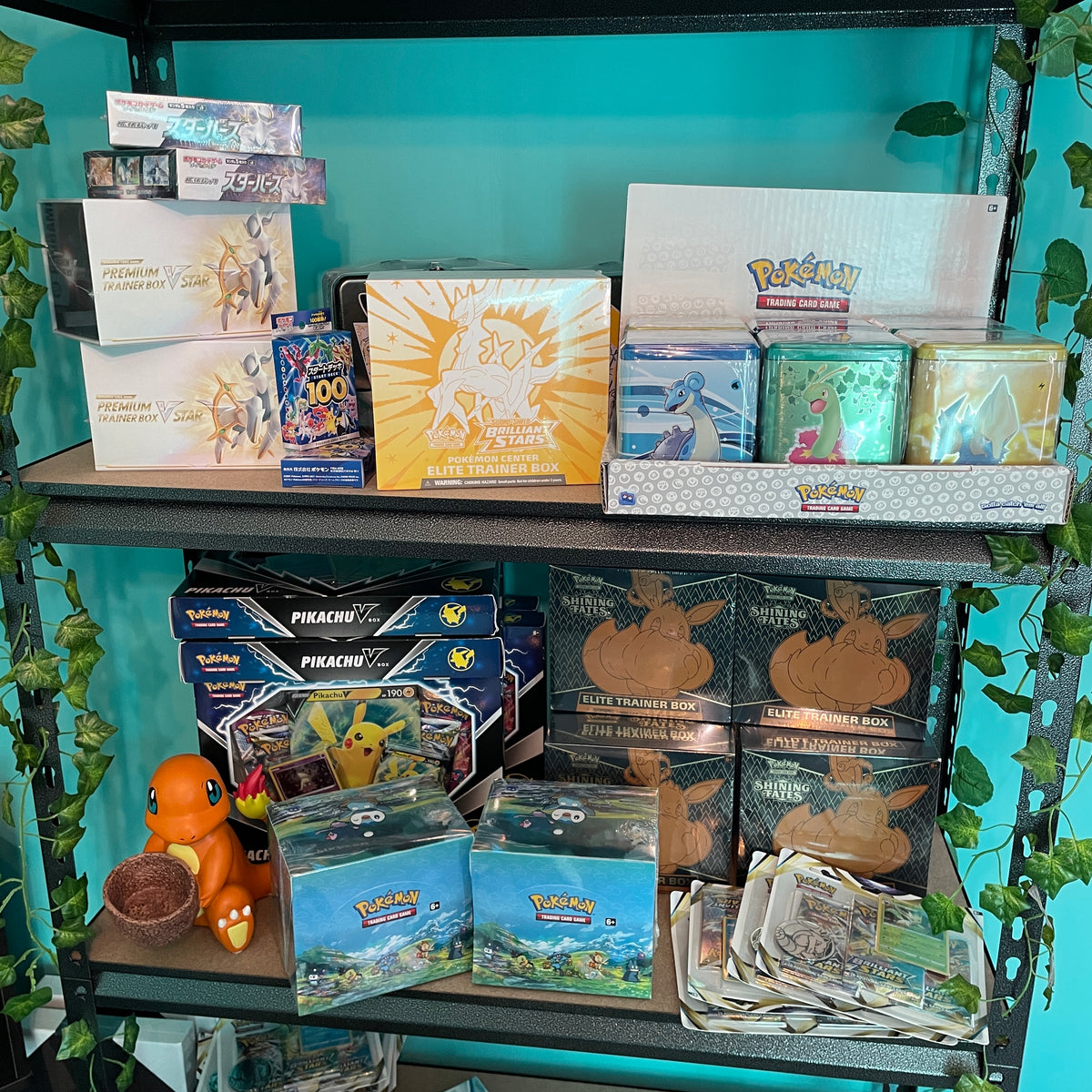 Pokemon Card Sealed Products PokePlugZa