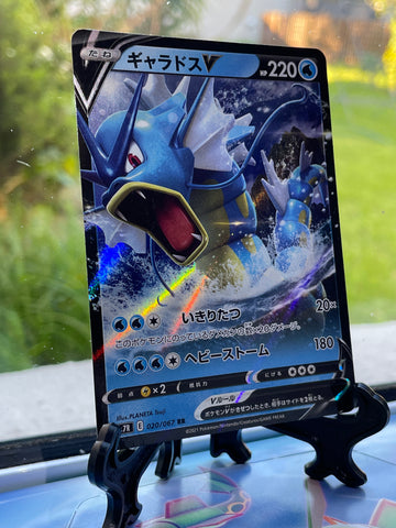 Gyarados V 020/067