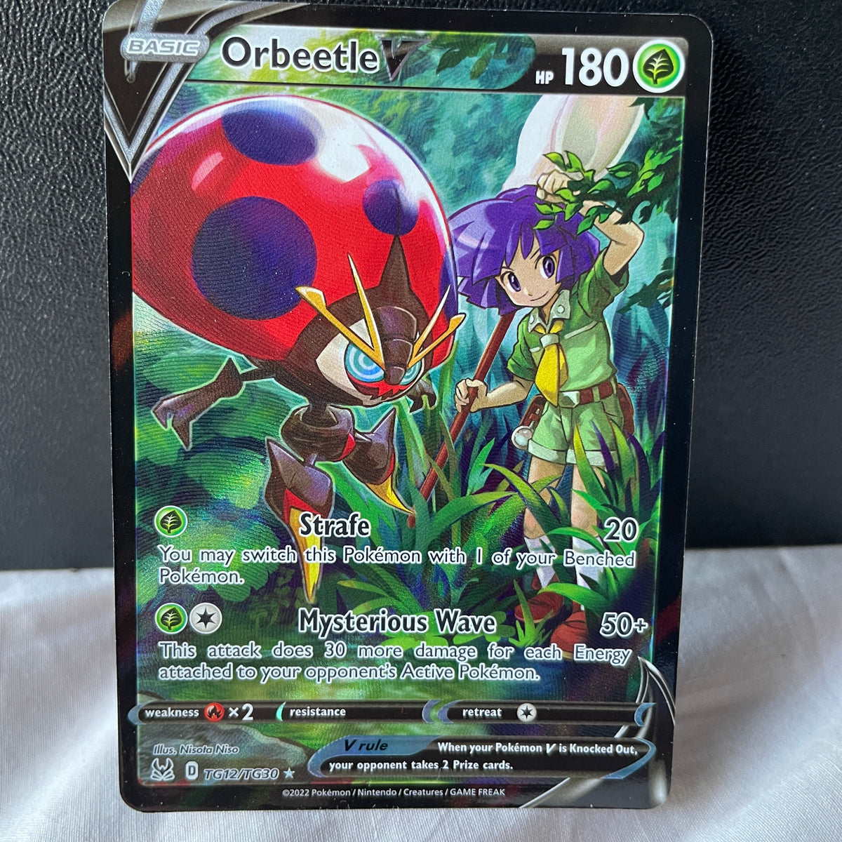 Orbeetle Orbeetle V TG12 – PokePlugZa